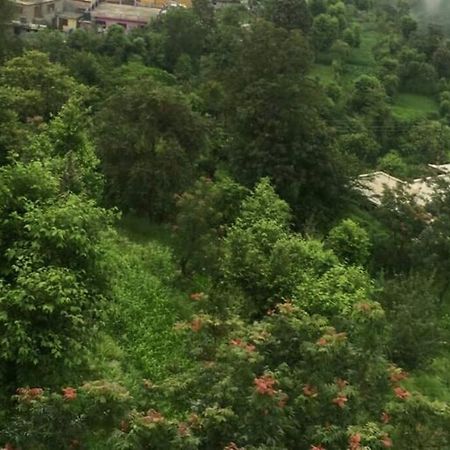 Valley View Family Unit Kasauli Exterior photo